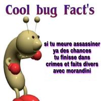"If you die assassinated, chances are you end up in 'Crimes and Dead Donkeys' with Jean-Marc Morandini."

"Crimes et Faits Divers" ('Crimes and Dead Donkeys') is a French television programme which focuses on crime news.