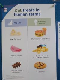 Cat treats in human terms Hills Average human 4kg Cat 1 hamburger and chips 14g of cheese 1 slice of salami 1 packet of crisps and 28g of cheese 3 Grocery brand cat treats 1 cookie aed on the t mene DA