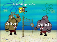 Schrödinger's Cat Alive Deade