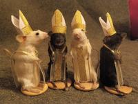 Dorime Rat Popes