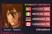 Gradient Ethnicity Estimate #1