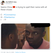 Eze Ndilichi Jessy @ENdilichi · Mar 25 Seems China 🇨🇳 is trying to spell their name with all these viruses  C - #Coronavirus H - #Hantavirus I   - ??