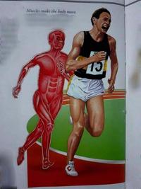 Muscles make the body move.
