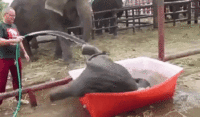 Totally meant to do that