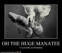OH THE HUGE MANATEE Ya Just Gotta Love PhotoShop TOANHASCHEEZBURGER.COM