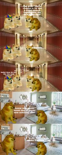 Doge Know Your Meme - 25 best memes about doge roblox doge roblox memes