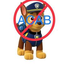 Chase ACAB