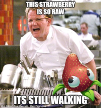 THIS STRAWBERRY IS SO RAW ITS STILL WALKING Oc.20thC Fox/Everett / Rex Features