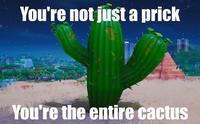 You're not just a prick You're the entire cactus