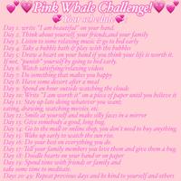 VPink Whale Challenge!V Your schedule Day 1. write "I am beautiful" on your hand. Day 2. Think about yourself, your friends,and your family Day 3. Listen to some relaxing music & go to bed early Day 4: Take a bubble bath & play with the bubbles Day 5: Draw a heart on your hand if you think your life is worth it. If not, "punish" yourself by going to bed early. Day 6: Watch satisfying/relaxing videos Day 7: Do something that makes you happy Day 8: Have some dessert after a meal Day 9: Spend an hour outside watching the clouds Day 10: Write "I am worth it" on a piece of paper until you believe it Day 11: Stay up late doing whatever you want; eating, drawing, watching movies, etc. Day 12: Smile at yourself and make silly faces in a mirror Day 13: Give somebody a good, long hug. Day 14: Go to the mall or online shop, you don't need to buy anything. Day 15: Wake up early to watch the sun rise. Day 16: Do your best on everything you do. Day 17: Tell your family members you love them and give them a hug. Day 18: Doodle hearts on your hand or on paper Day 19: Spend time with friends or family and take some time to meditate. Days 20-49: Repeat previous days and be kind to yourself and others