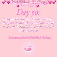 Pink Whale Challenge!V Your schedule Day 50: Look in the mirror. Think about the time past months, Look at how you life is worth it. Suicide is not the answer. You are loved, Doubave completed the Pink Whale Challenge.