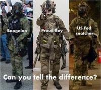 US Fed snatcher Boogaloo Proud Boy Can you tell the difference?