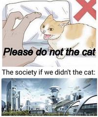 Society IF