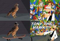 A Hawk? TONY THE HAWK?! Perry the Platypus Dr. Heinz Doofenshmirtz Platypus Bird Red shouldered Hawk Falcon Bird of prey Peregrine falcon Sharp shinned Hawk Wildlife Hawk Adaptation