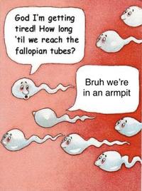 God I'm getting tired! How long 'til we reach the fallopian tubes? Bruh we're in an armpit