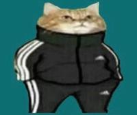 Slav Cat Blue Background