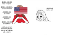 -$4,000,000,000 navy weapons -$2,000,000,000 for air force missiles + $600 for 9 months rent -$700,000,000 for sudan -$500,000,000 for israel -$2,000,000,000 'space force' -and if you stream something illegally you will be charged with a felony