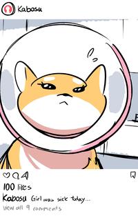 Kabosu ♡Q4 100 likes Kabosu Girl was sick today.. view all 9 comments Animated cartoon Animation Orange Graphics Cartoon Pleased Illustration Clip art