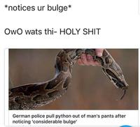This time it's really a snake, promise 