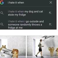 Gi hate it when i hate it when my dog and cat stole my fridge i hate it when i go outside and someone randomly throws a fridge at me