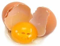 Yolk pope