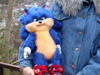 Sonic the Hedgehog
