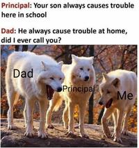 Principal: Your son always causes trouble here in school Dad: He always cause trouble at home, did I ever call you? Dad Principal Me