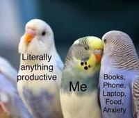 Literally anything productive Books, Phone, Laptop, Food, Anxiety Me