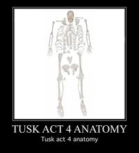 TUSK ACT 4 ANATOMY Tusk act 4 anatomy Head Human body Sleeve Gesture Bone Art Font Human anatomy