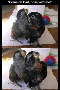 "Come on Carl, pose with me!"
