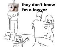 they don't know i'm a lawyer 200