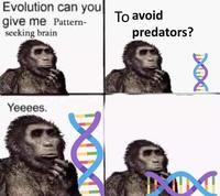 Evolution can you give me Pattern- seeking brain To avoid predators? Yeeees. Hair Nose Head Chin Hairstyle Eyebrow Facial expression Organ Black Fashion Jaw Primate Organism Font Eyelash Liver People Adaptation Beauty
