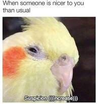 When someone is nicer to you than usual DeprassionP orts Suspicion ((Increase)