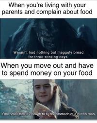 When you're living with your parents and complain about food We ain't had nothing but maggoty bread for three stinking days. When you move out and have to spend money on your food One small bite is enough to fill the stomach of a grown man