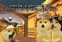 מהר קה את הלבוש .ןאת הסוסי לשר דברתועשה כ למרדכי היחודי י4מ Dog Vertebrate Dog breed Carnivore Mammal Happy Fawn Companion dog