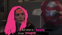Stupid Love