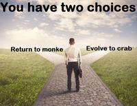 You have two choices