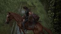 Breathtaking Immersion