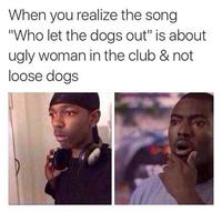 When you realize the song "Who let the dogs out" is about ugly woman in the club & not loose dogs