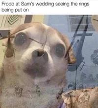 Frodo at Sam's wedding seeing the rings being put on