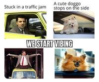 A cute doggo stops on the side Stuck in a traffic jam WE START VIBING Dog Photograph Hood Carnivore Car Dog breed Fawn Motor vehicle Companion dog Spitz Vehicle door Automotive exterior Font German spitz