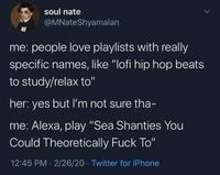 soul nate @MNateShyamalan me: people love playlists with really specific names, like "lofi hip hop beats to study/relax to" her: yes but I'm not sure tha- me: Alexa, play "Sea Shanties You Could Theoretically F--- To" 12:45 PM · 2/26/20 · Twitter for iPhone