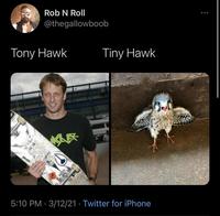 Rob N Roll @thegallowboob Tiny Hawk Tony Hawk KLE DUIK 5:10 PM · 3/12/21 · Twitter for iPhone