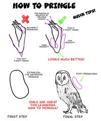 HOW TO PRINGLE THE ERNITALIS ABSUFATE AT OBLIQUE ANGLES QUICK TIPS! INCORRECT PRINGLING THIS IS A RIGHT ANGLE LOW PRIORITY HIGH PRIORITY THIS ISN'T A RIGHT ANGLE, LOOKS MUCH BETTER! ESTABLISH THE ANTERIOR PRINGLE POST PRINGLING OWLS ARE GREAT FOR LEARNING HOW TO PRINGLE! FIRST STED FINAL STED