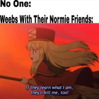 No One: Weebs With Their Normie Friends: If they learn what I am, they'll kill me, too!