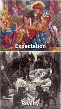 Expectation Reality Shamanism and the Mysteries: A Brief History of the Cult of Ecstasy Sleeve Organism Art Working animal Carnivore Painting
