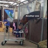 Another one The dust