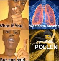 What if You Wanted to breathe POLLEN But god said