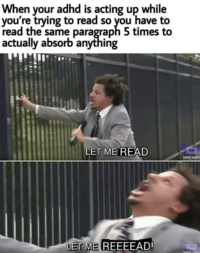 When your adhd is acting up while you're trying to read so you 'have to read the same paragraph 5 times to actually absorb'anything LET ME READ [adult switn LET ME REEEEAD! fartult