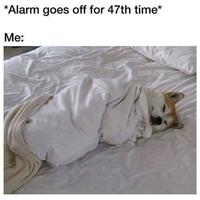 *Alarm goes off for 47th time* Me: